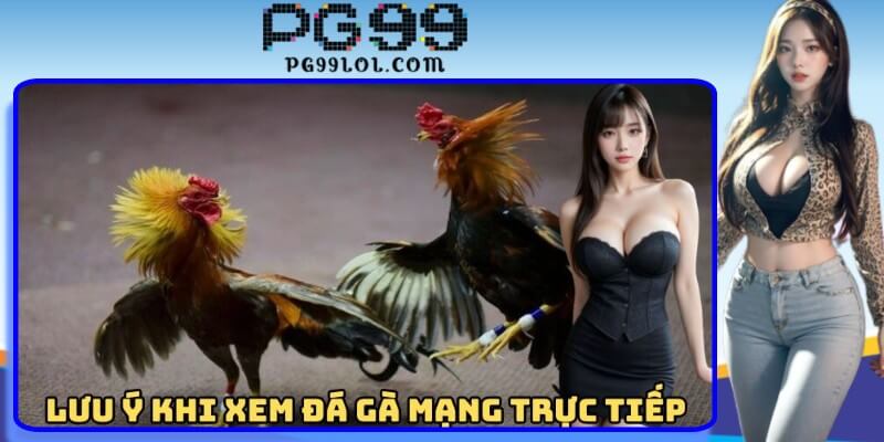 Lưu ý khi xem trực tiếp đá gà mạng Lưu ý khi xem trực tiếp đá gà mạng