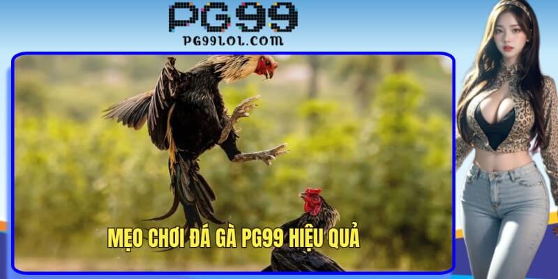 Nắm rõ mẹo chơi hay ho để nâng cao chiến thắng