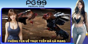 Thông tin về trực tiếp đá gà mạng