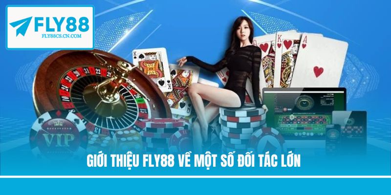 Giới thiệu Fly88 về một số đối tác lớn
